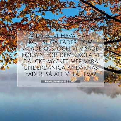 Picture 07 - Hebreerbrevet 12:9 SV1917 - Vidare: vi hava haft köttsliga fäder, som agade - Bible Verse Picture