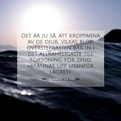 Picture 07 - Hebreerbrevet 13:11 SV1917 - Det är ju så, att kropparna av de djur, vilkas - Bible Verse Picture