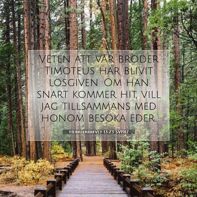 Picture 07 - Hebreerbrevet 13:23 SV1917 - Veten att vår broder Timoteus har blivit - Bible Verse Picture