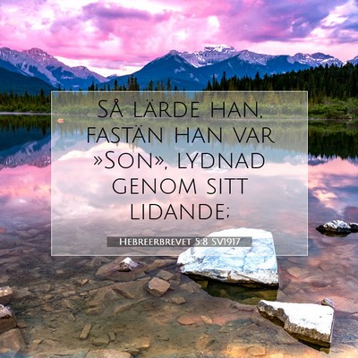 Picture 07 - Hebreerbrevet 5:8 SV1917 - Så lärde han, fastän han var »Son», lydnad - Bible Verse Picture