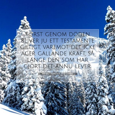 Picture 07 - Hebreerbrevet 9:17 SV1917 - Först genom döden bliver ju ett testamente - Bible Verse Picture