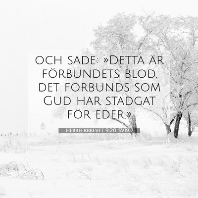 Picture 07 - Hebreerbrevet 9:20 SV1917 - och sade: »Detta är förbundets blod, det - Bible Verse Picture