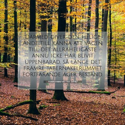 Picture 07 - Hebreerbrevet 9:8 SV1917 - Därmed giver den helige Ande till känna att - Bible Verse Picture