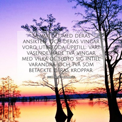 Picture 07 - Hesekiel 1:11 SV1917 - Så var det med deras ansikten. Och deras vingar - Bible Verse Picture