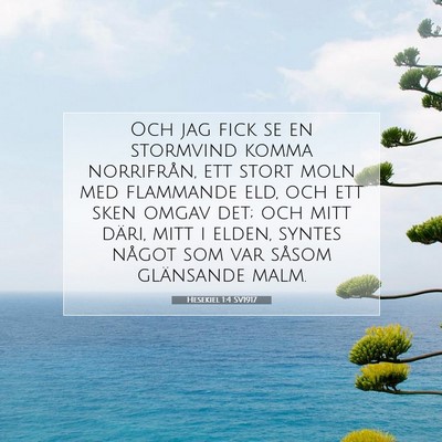 Picture 07 - Hesekiel 1:4 SV1917 - Och jag fick se en stormvind komma norrifrån, - Bible Verse Picture