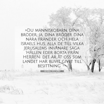 Picture 07 - Hesekiel 11:15 SV1917 - »Du människobarn, dina bröder, ja, dina - Bible Verse Picture