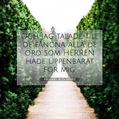 Picture 07 - Hesekiel 11:25 SV1917 - Och jag talade till de fångna alla de ord som - Bible Verse Picture