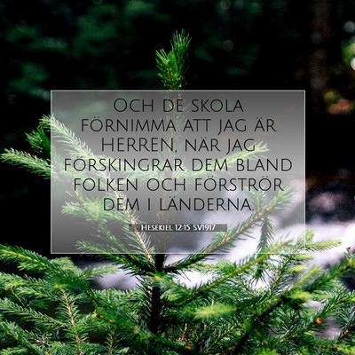 Picture 07 - Hesekiel 12:15 SV1917 - Och de skola förnimma att jag är HERREN, när - Bible Verse Picture