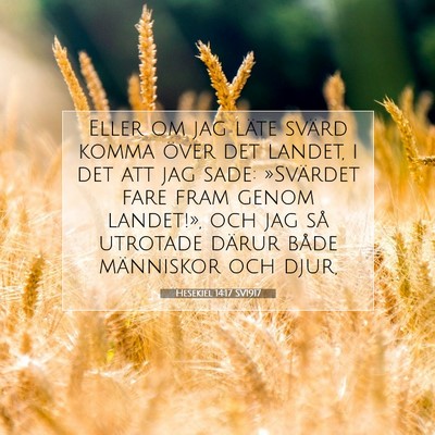 Picture 07 - Hesekiel 14:17 SV1917 - Eller om jag läte svärd komma över det landet, - Bible Verse Picture
