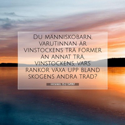 Picture 07 - Hesekiel 15:2 SV1917 - Du människobarn, varutinnan är vinstockens trä - Bible Verse Picture