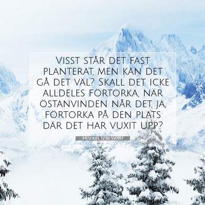Picture 07 - Hesekiel 17:10 SV1917 - Visst står det fast planterat, men kan det gå - Bible Verse Picture