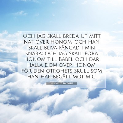 Picture 07 - Hesekiel 17:20 SV1917 - Och jag skall breda ut mitt nät över honom, och - Bible Verse Picture