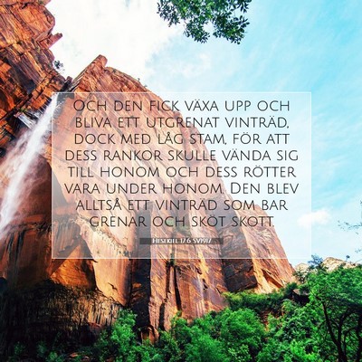 Picture 07 - Hesekiel 17:6 SV1917 - Och den fick växa upp och bliva ett utgrenat - Bible Verse Picture