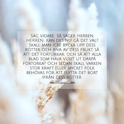 Picture 07 - Hesekiel 17:9 SV1917 - Säg vidare: Så säger Herren, HERREN: Kan det - Bible Verse Picture