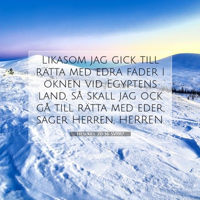 Picture 07 - Hesekiel 20:36 SV1917 - Likasom jag gick till rätta med edra fäder i - Bible Verse Picture