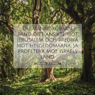 Picture 07 - Hesekiel 21:2 SV1917 - Du människobarn, vänd ditt ansikte mot - Bible Verse Picture