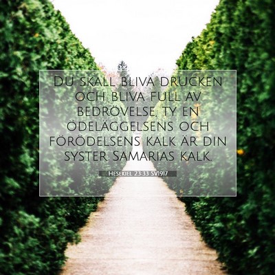 Picture 07 - Hesekiel 23:33 SV1917 - Du skall bliva drucken och bliva full av - Bible Verse Picture