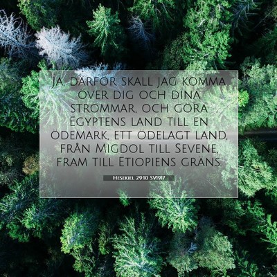 Picture 07 - Hesekiel 29:10 SV1917 - Ja, därför skall jag komma över dig och dina - Bible Verse Picture