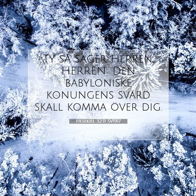 Picture 07 - Hesekiel 32:11 SV1917 - Ty så säger Herren, HERREN: Den babyloniske - Bible Verse Picture