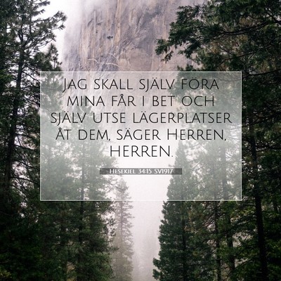Picture 07 - Hesekiel 34:15 SV1917 - Jag skall själv föra mina får i bet och själv - Bible Verse Picture
