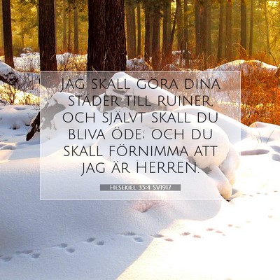 Picture 07 - Hesekiel 35:4 SV1917 - Jag skall göra dina städer till ruiner, och - Bible Verse Picture