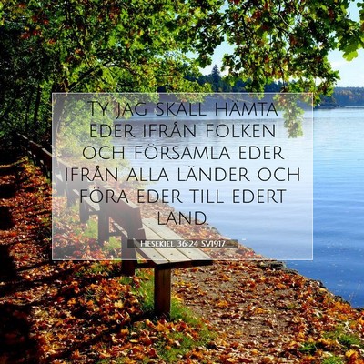 Picture 07 - Hesekiel 36:24 SV1917 - Ty jag skall hämta eder ifrån folken och - Bible Verse Picture