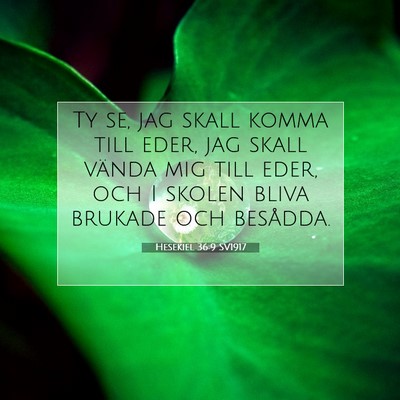 Picture 07 - Hesekiel 36:9 SV1917 - Ty se, jag skall komma till eder, jag skall - Bible Verse Picture