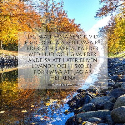 Picture 07 - Hesekiel 37:6 SV1917 - Jag skall fästa senor vid eder och låta kött - Bible Verse Picture