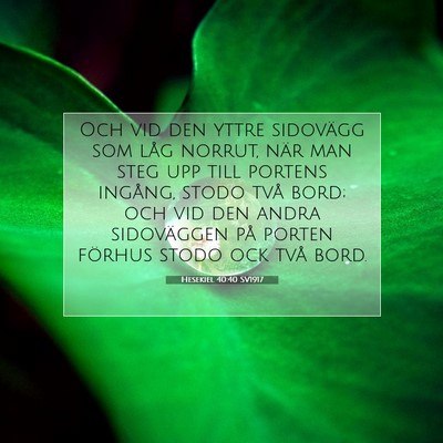 Picture 07 - Hesekiel 40:40 SV1917 - Och vid den yttre sidovägg som låg norrut, när - Bible Verse Picture