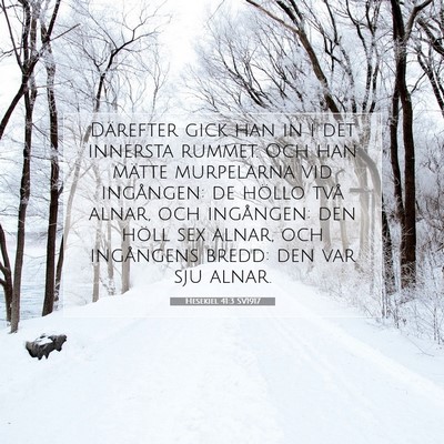 Picture 07 - Hesekiel 41:3 SV1917 - Därefter gick han in i det innersta rummet. Och - Bible Verse Picture