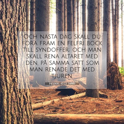 Picture 07 - Hesekiel 43:22 SV1917 - Och nästa dag skall du föra fram en felfri bock - Bible Verse Picture