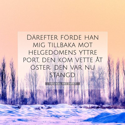 Picture 07 - Hesekiel 44:1 SV1917 - Därefter förde han mig tillbaka mot helgedomens - Bible Verse Picture