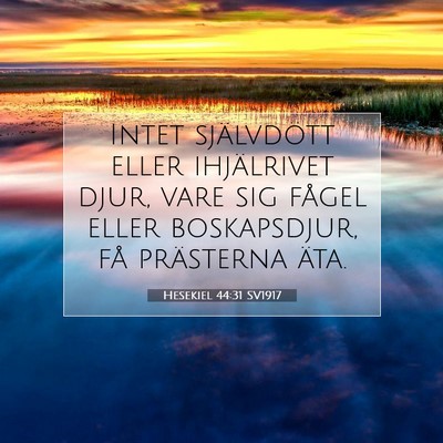 Picture 07 - Hesekiel 44:31 SV1917 - Intet självdött eller ihjälrivet djur, vare - Bible Verse Picture