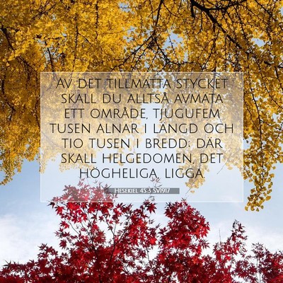 Picture 07 - Hesekiel 45:3 SV1917 - Av det tillmätta stycket skall du alltså - Bible Verse Picture