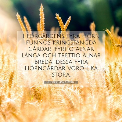 Picture 07 - Hesekiel 46:22 SV1917 - I förgårdens fyra hörn funnos kringstängda - Bible Verse Picture