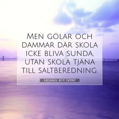 Picture 07 - Hesekiel 47:11 SV1917 - Men gölar och dammar där skola icke bliva - Bible Verse Picture
