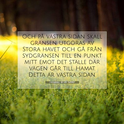 Picture 07 - Hesekiel 47:20 SV1917 - Och på västra sidan skall gränsen utgöras av - Bible Verse Picture