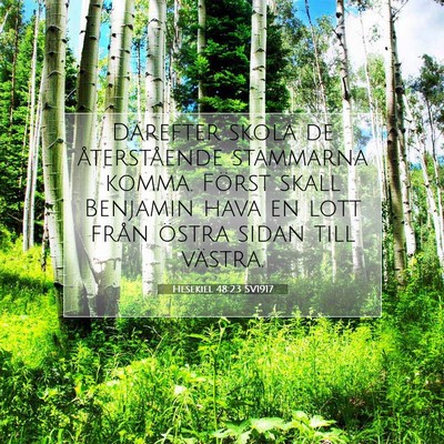 Picture 07 - Hesekiel 48:23 SV1917 - Därefter skola de återstående stammarna komma. - Bible Verse Picture