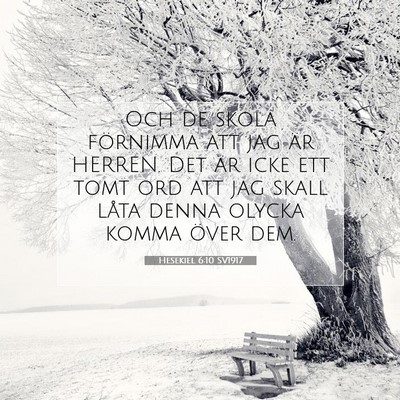 Picture 07 - Hesekiel 6:10 SV1917 - Och de skola förnimma att jag är HERREN. Det - Bible Verse Picture