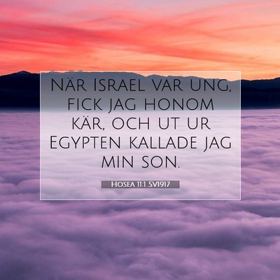 Picture 07 - Hosea 11:1 SV1917 - När Israel var ung, fick jag honom kär, och ut - Bible Verse Picture