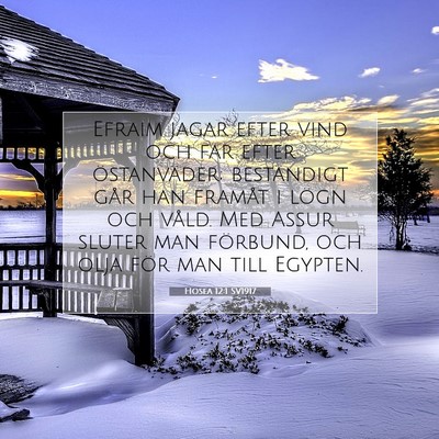 Picture 07 - Hosea 12:1 SV1917 - Efraim jagar efter vind och far efter - Bible Verse Picture