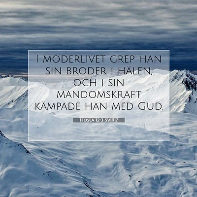 Picture 07 - Hosea 12:3 SV1917 - I moderlivet grep han sin broder i hälen, och i - Bible Verse Picture