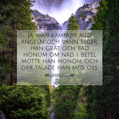 Picture 07 - Hosea 12:4 SV1917 - Ja, han kämpade med ängeln och vann seger, han - Bible Verse Picture