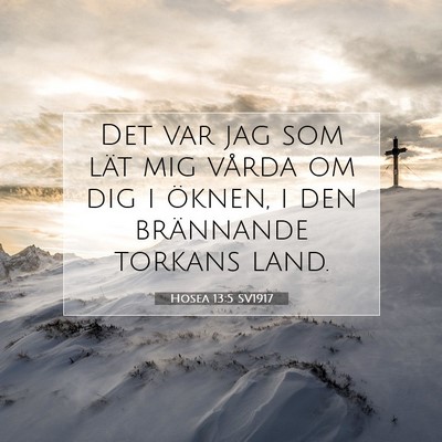 Picture 07 - Hosea 13:5 SV1917 - Det var jag som lät mig vårda om dig i öknen, - Bible Verse Picture