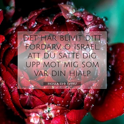 Picture 07 - Hosea 13:9 SV1917 - Det har blivit ditt fördärv, o Israel, att du - Bible Verse Picture