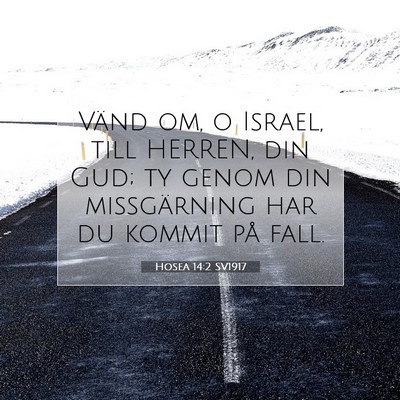 Picture 07 - Hosea 14:2 SV1917 - Vänd om, o Israel, till HERREN, din Gud; ty - Bible Verse Picture