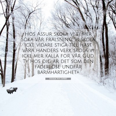 Picture 07 - Hosea 14:4 SV1917 - Hos Assur skola vi ej mer söka vår frälsning, - Bible Verse Picture