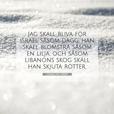 Picture 07 - Hosea 14:6 SV1917 - Jag skall bliva för Israel såsom dagg, han - Bible Verse Picture