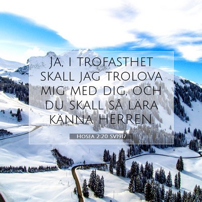 Picture 07 - Hosea 2:20 SV1917 - Ja, i trofasthet skall jag trolova mig med dig, - Bible Verse Picture