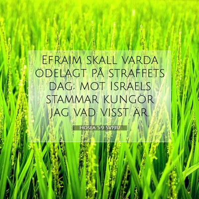 Picture 07 - Hosea 5:9 SV1917 - Efraim skall varda ödelagt på straffets dag; - Bible Verse Picture